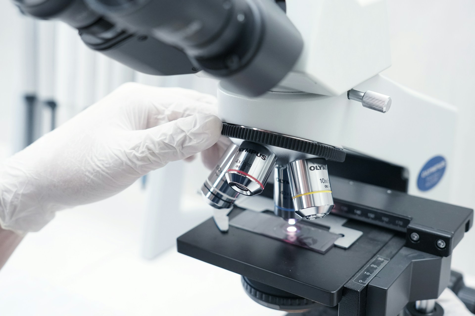 DNA Analysis