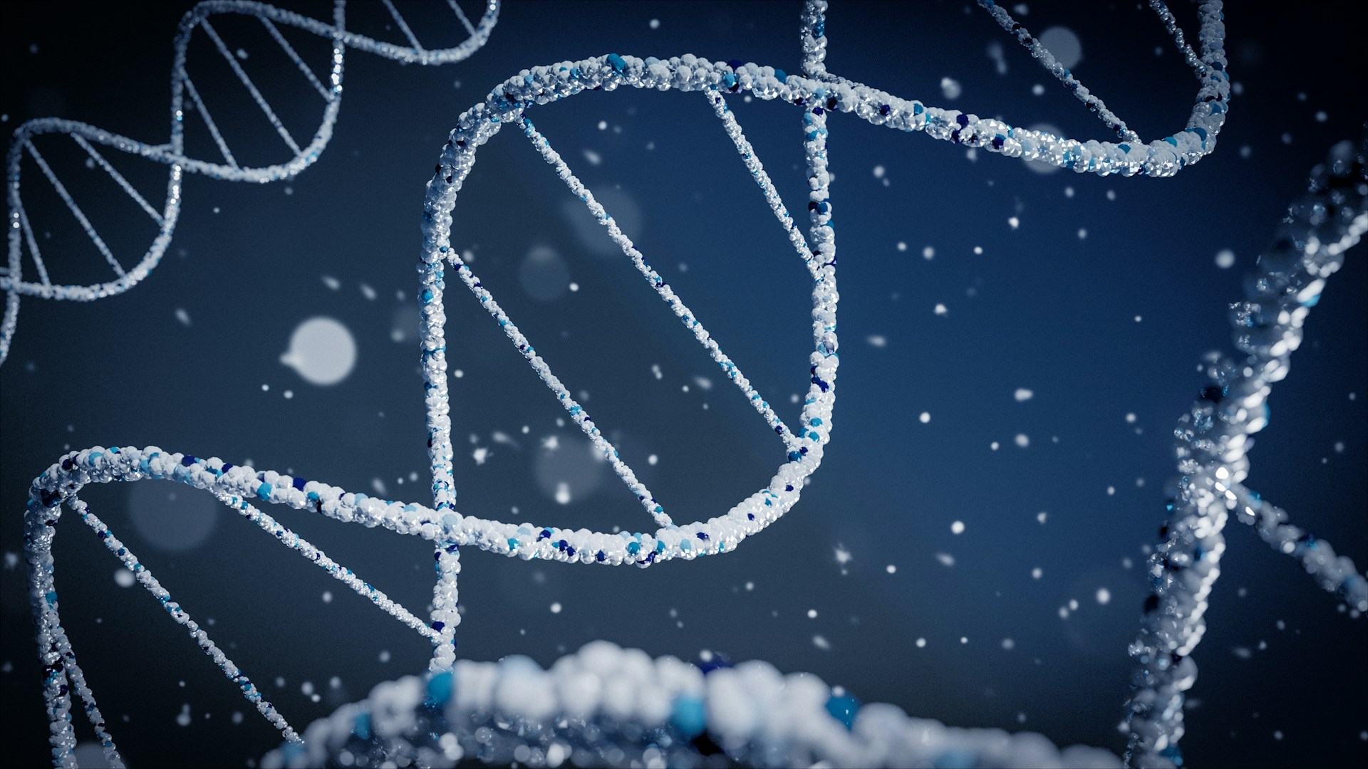 DNA Paternity & Maternity